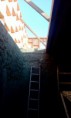 /album/galerie-foto-portofoliu/a12036741-1033730866666901-4486863134283962523-n-jpg1/